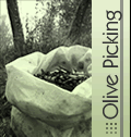 Olive Picking: I[u̎̎Eݎn